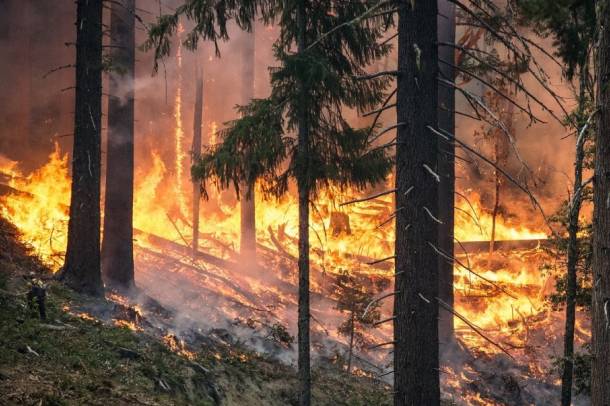 A nyugati államokban hatalmas tüzek tomboltak
Forrás: pixabay.com
Szerző: skeeze