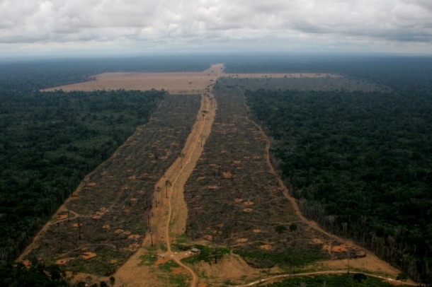 A szójatermesztésnek köszönhetően az Amazon esőerdeje minden egyes percben öt futballpályányit veszít területéből. - Immáron 10 éve!
Forrás: Greenpeace
Szerző: Daniel Beltra