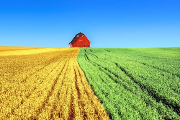 "Hazánk elutasít minden olyan elképzelést, amely a mezőgazdasági forrásokat más európai célokra fordítaná"
Forrás: pixabay.com