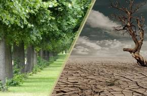 MTVSZ: Állítsuk meg együtt az éghajlati katasztrófát!