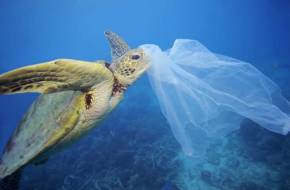 Jelentősen nőtt az óceánban lévő műanyaghulladék mennyisége az elmúlt évtizedekben