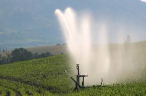 Az aszály miatt rendkívüli öntözési célú vízhasználatot biztosít a kormány