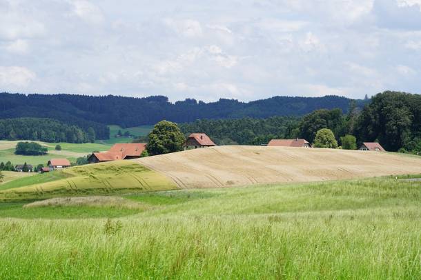 Magyarországon 2020 végére 350 ezer hektárra nőhet az ökológiai művelésű területek nagysága
Forrás: pixabay.com
Szerző: Hans Braxmeier