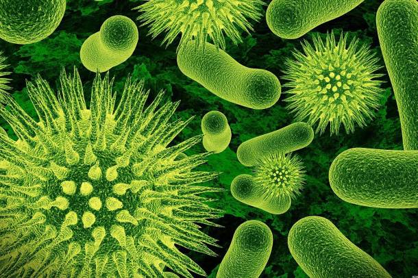Vírusok és baktériumok (illusztráció)
Forrás: commons.wikimedia.org