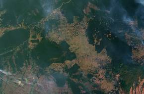 Őrült iramban pusztul az Amazonas-medence