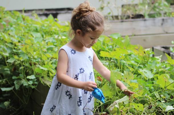 A kertészkedés kiváló lehetőség, hogy a gyerekek megtanulják elfogadni és tisztelni a természet törvényeit
Forrás: www.pexels.com
Szerző: Maggie Zhao