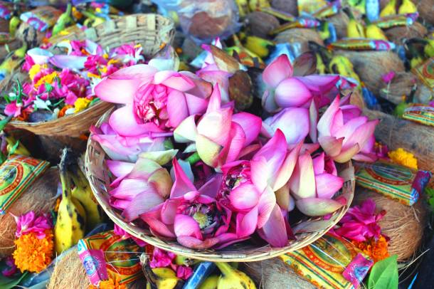 Lótuszvirágok egy indiai ünnepségen Maduraiban
Forrás: commons.wikimedia.org
Szerző: Thachan Makan