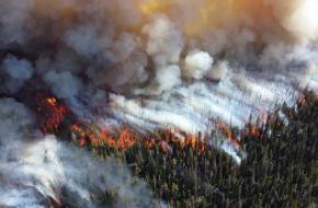 Magára hagyott oroszországi erdők: Szibériában már közel 2,5 millió hektárnyi erdő lángol!