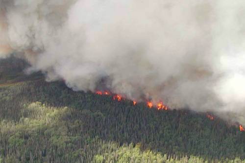 Rendkívüli állapotot vezettek be Szibéria három régiójában a tomboló erdőtüzek miatt