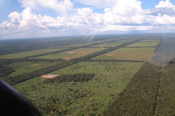 Ültetvények Paraguay-ban. Egyre több erdőt irtanak ki mezőgazdasági célból.
Forrás: commons.wikimedia.org
Szerző: Peer V