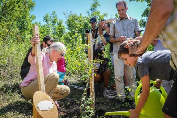 Jane Goodall fát ültetett a Sas-hegyen
Forrás: WWF
Szerző: Balogh Boglárka