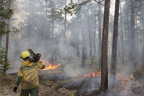 Eredményes az erdőtüzek oltása az orosz szakszolgálat szerint