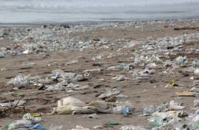 Ismét brutális mennyiségű műanyagszemetet találtak egy cet gyomrában