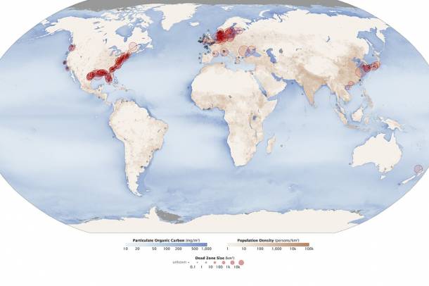 Halálzónák száma a világon 2008-ban
Forrás: earthobservatory.nasa.gov
Szerző: NASA Earth Observatory