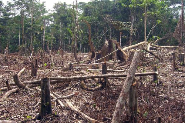 Erdőírtás az Amazonas-medencében
Forrás: www.flickr.com
Szerző: Matt Zimmermann