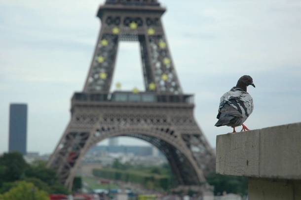 A párizsi Eiffel-torony
Forrás: pixabay.com
Szerző: Skeeze