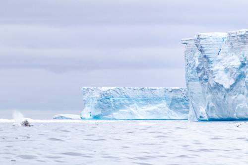 Töredezni kezdett a világ legnagyobb, korábban 6000 négyzetméteres jéghegye