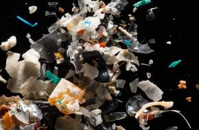 Soha nem volt még ekkora a mikroműanyag koncentrációja a tengerfenéken