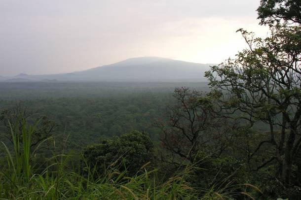 A Virunga Nemzeti Park nagy bajban van
Forrás: commons.wikimedia.org
Szerző: Yvette Kaboza