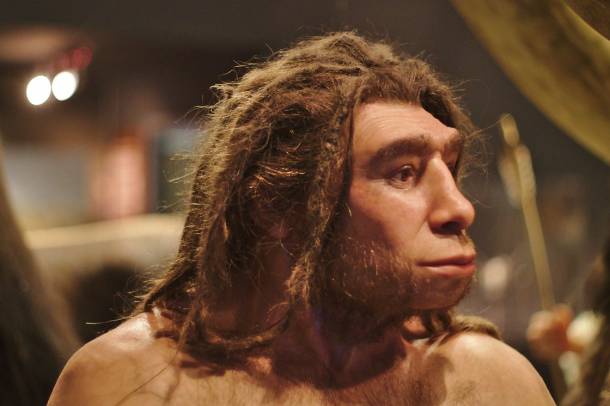A neandervölgyi ember rekonstrukciója a Münsteri Természettudományi Múzeumban
Forrás: www.flickr.com
Szerző: Thomas Vogt