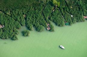 Szemléletváltásra van szükség a vízszintszabályozásban - A magas vízállás is hozzájárul a Balaton algásodásához