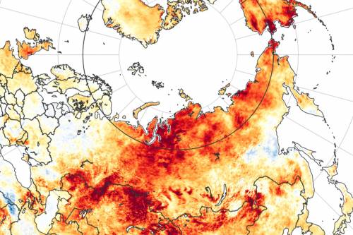 Rekordmeleg és bozóttüzek Szibériában - Kétszer gyorsabban melegszik az Arktisz, mint a globális átlag