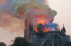 Notre Dame-i tűzvész: ólommal szennyezett a párizsi méztermés