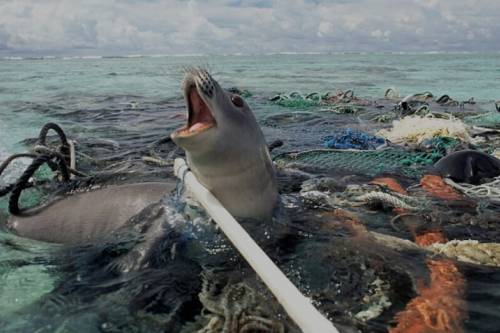 Mégsem jelentenek megoldást az "óceántisztító" gépek a műanyagszennyezésre?