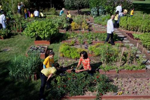 Michelle Obama kertészkedésre buzdít