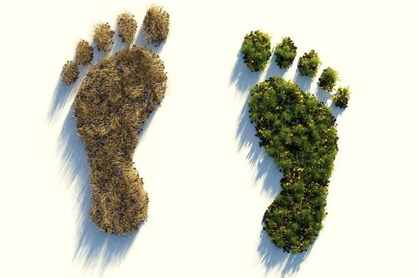Ökológiai lábnyomunk egyre nagyobb
Forrás: pixabay.com
Szerző: Colin Behrens