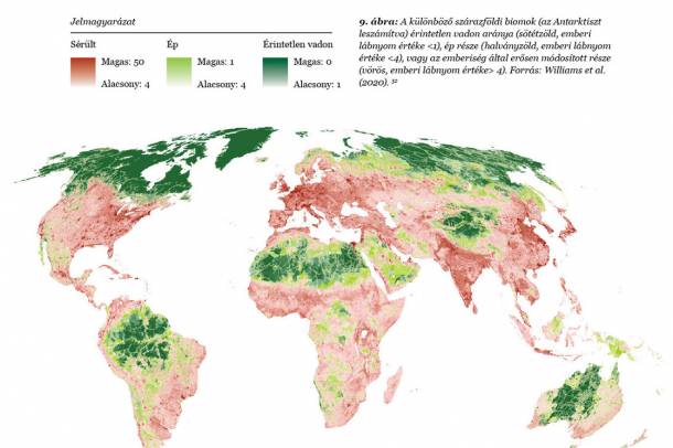 Élő Bolygó Jelentés: Az emberi környezetmódosítás mértéke
Forrás: wwf.hu
Szerző: WWF Magyarország