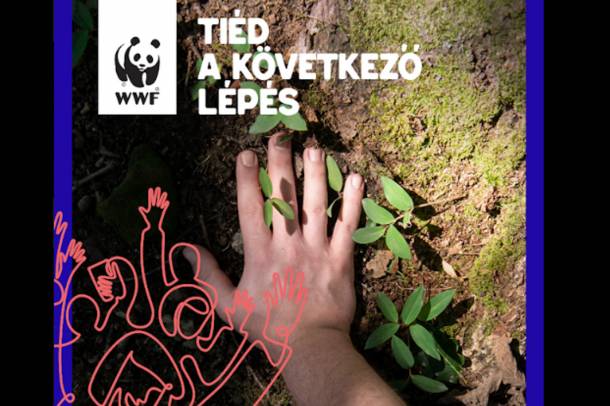 Csatlakozásra hív a WWF!
Forrás: wwf.hu
Szerző: WWF Magyarország