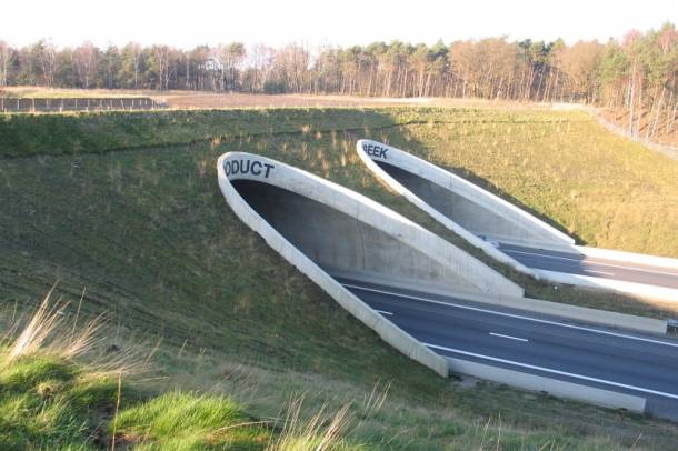 Megépült ekodukt - Hollandia
Forrás: nl.wikipedia.org
Szerző: Paul Hermans