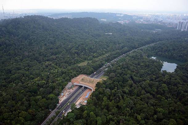 Épülő ekodukt - Szingapur
Forrás: commons.wikimedia.org
Szerző: Benjamin P. Y-H. Lee