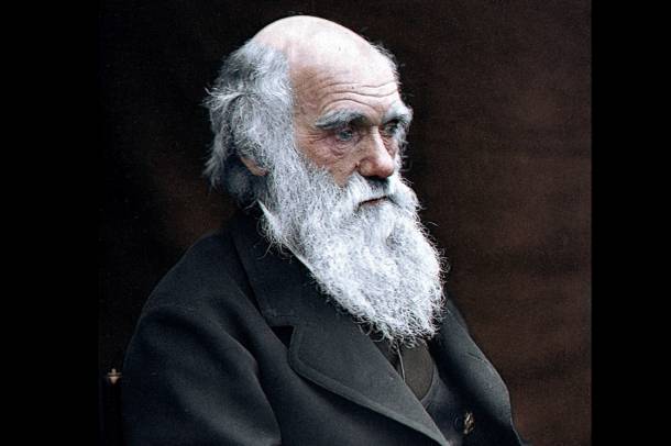 Charles Darwin portréja
Forrás: commons.wikimedia.org
Szerző: Julius Jääskeläinen