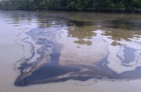 Súlyos olajszennyezés a Ráckevei Duna-ágon - Természetvédelmi terület is érintett