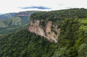 Már nem nyelik el a szén-dioxidot a brazil erdők