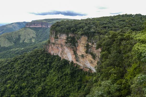 A Minas Gerais erdőségei Brazíliában
Forrás: commons.wikimedia.org
Szerző: Raul Miguel Rocha Teixeira da Fonseca