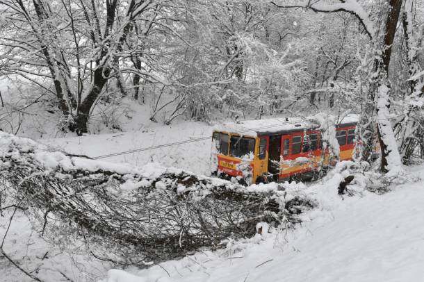 Újból leesett a hó - Kidőlt fa Szilvásváradon (2021.01.25.)
Forrás: mti.hu
Szerző: MTI/Máthé Zoltán
