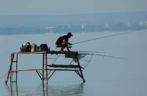 Nőtt az orvhalászok száma a járvány óta a Balaton körül