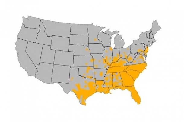 Tigrisszúnyogok előfordulása az USA-ban
Forrás: www.mosquitoreviews.com
