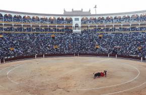 Ismét bikaviadalokat rendeznek Madridban