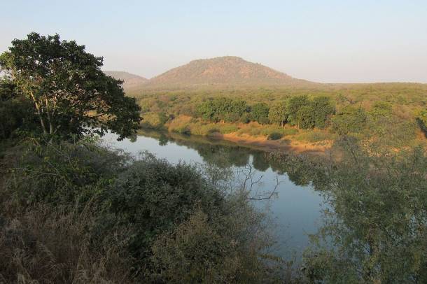 A Kuno Nemzeti Park Indiában
Forrás: commons.wikimedia.org
Szerző: M. G. Chandrasekr