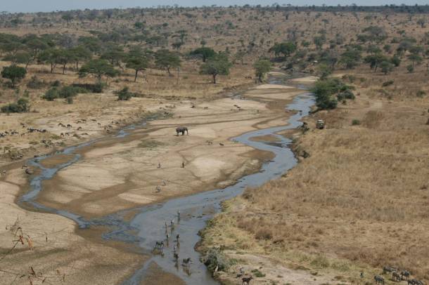 A Tarangire-folyó a száraz időszakban Tanzániában
Forrás: commons.wikimedia.org
Szerző: Geir Kiste