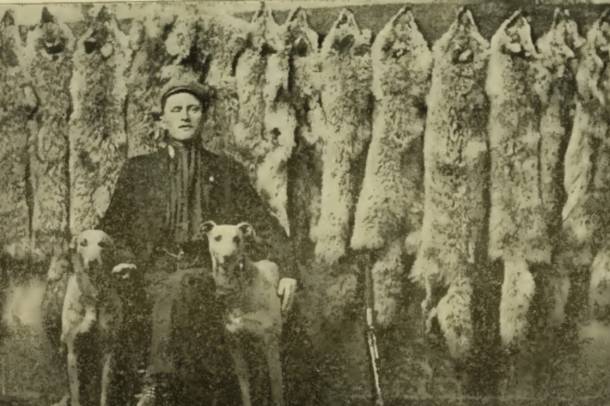 Farkasvadász 1909-ből
Forrás: commons.wikimedia.org
Szerző: Arthur Robert Harding