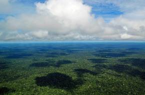 Már több szén-dioxidot bocsátanak ki az amazonasi erdők, mint amennyit elnyelnek