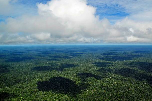 Amazonasi esőerdők
Forrás: commons.wikimedia.org
Szerző: Neil Palmer, CIAT