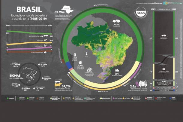Erdőirtások Brazíliában
Forrás: mapbiomas.org
Szerző: mapbiomas.org