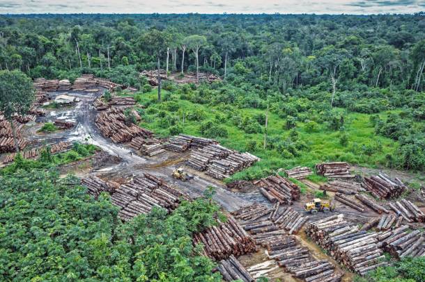 Illegális fakitermelés az amazonasi erdőkben
Forrás: www.flickr.com
Szerző: Quapan