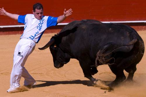 Viadalról megszökött bikát gázoltak szándékosan halálra Spanyolországban